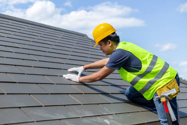 Roof Gutter Cleaning in Wagner, SD