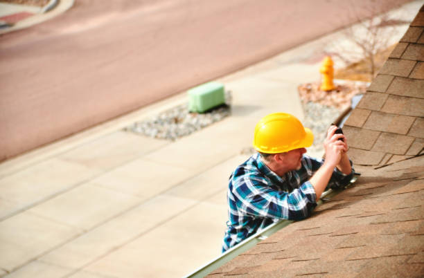 Best Metal Roofing Contractor  in Wagner, SD