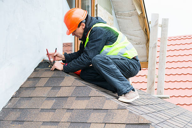 Best Metal Roofing Contractor  in Wagner, SD